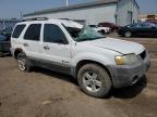 2007 FORD ESCAPE HEV   for sale at Copart ON - TORONTO