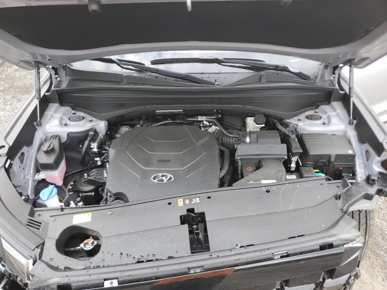 2025 Hyundai Palisade Sel VIN: KM8R2DGE9SU892508 Lot: 62097505