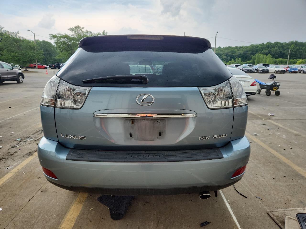 2007 Lexus Rx 350 VIN: 2T2HK31U47C029237 Lot: 62868485