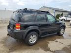 2005 Ford Escape Xlt продається в Louisville, KY - Hail