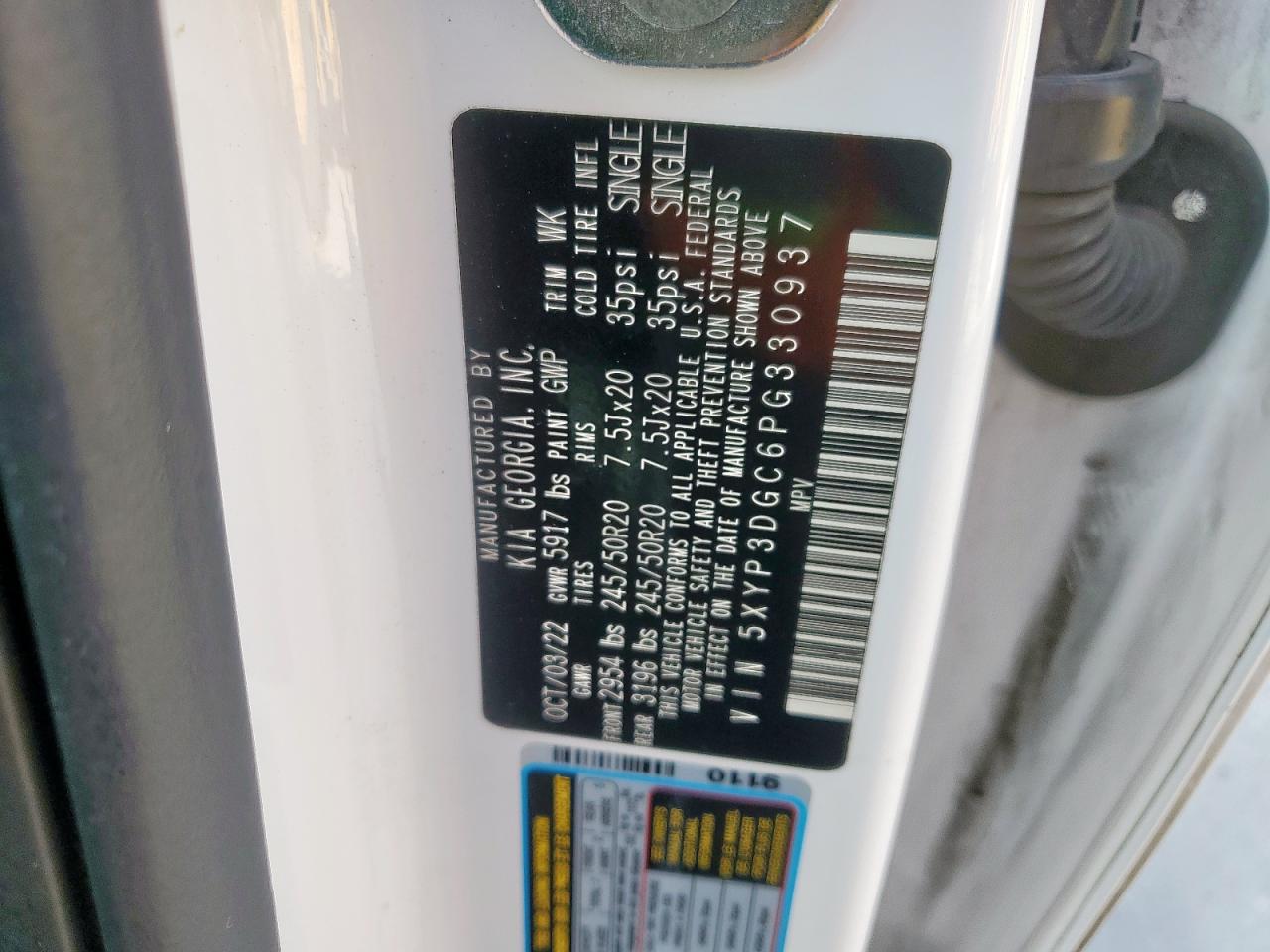 2023 Kia Telluride Ex VIN: 5XYP3DGC6PG330937 Lot: 62483105