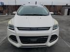 2016 Ford Escape Titanium იყიდება Wilmington-ში, CA - Side
