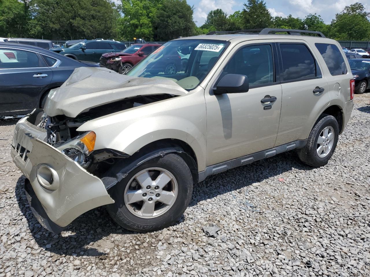 2011 Ford Escape Xlt للبيع في Madisonville، TN - Front End