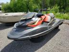 2019 SEADOO RXPX 300   à vendre chez Copart ON - COOKSTOWN