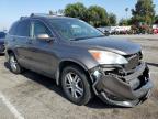 2010 Honda Cr-V Exl na sprzedaż w Van Nuys, CA - Front End