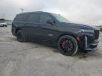 2024 CADILLAC ESCALADE V    for sale at Copart TX - DALLAS SOUTH