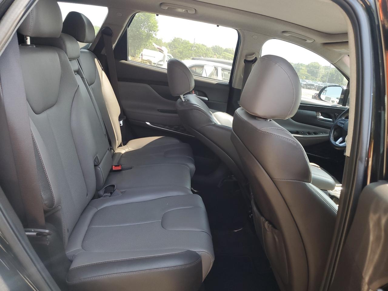 2020 Hyundai Santa Fe Limited VIN: 5NMS53AD7LH213044 Lot: 61474525