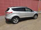 2014 Ford Escape Se   for Sale in London, ON - Normal Wear