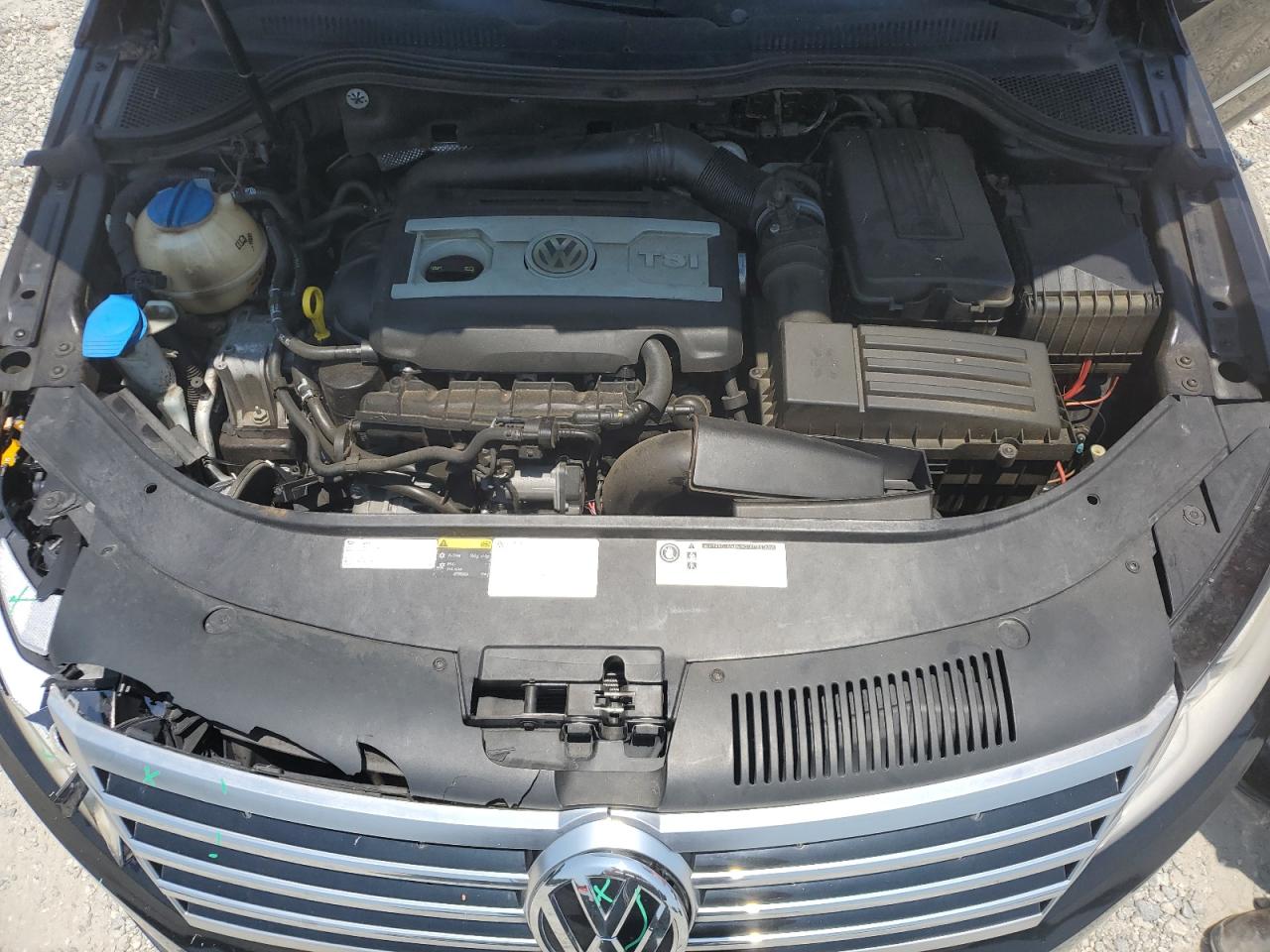 2015 Volkswagen Cc Sport VIN: WVWBN7AN5FE807364 Lot: 62386675
