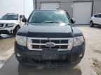 2009 Ford Escape Xlt de vânzare în Cahokia Heights, IL - Front End