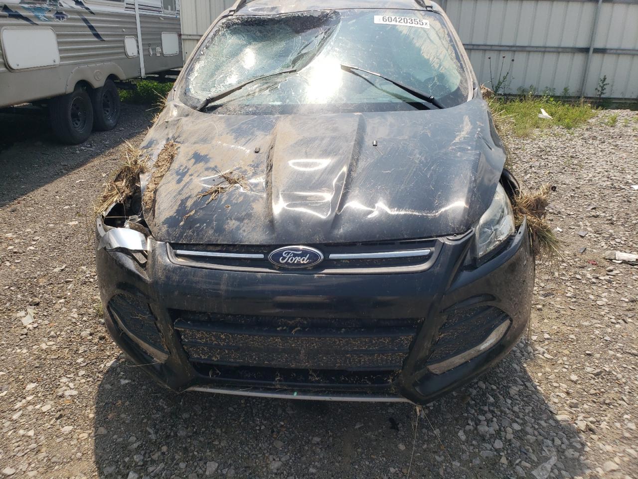 2014 Ford Escape Se VIN: 1FMCU0G90EUE55223 Lot: 60420355