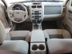 2008 Ford Escape Xlt en Venta en Phoenix, AZ - Rear End