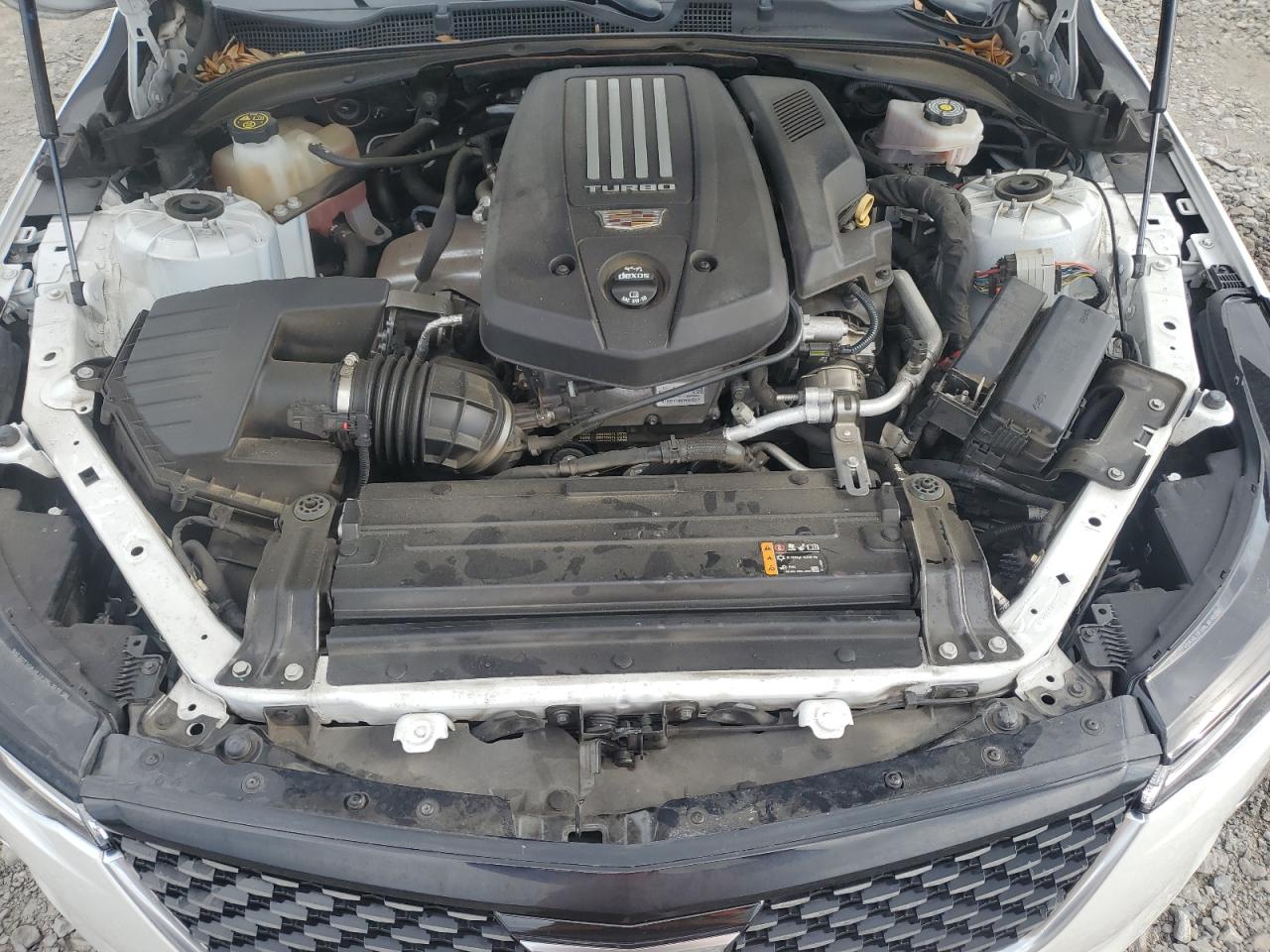 2020 Cadillac Ct4 Premium Luxury VIN: 1G6DB5RL6L0150899 Lot: 60603455