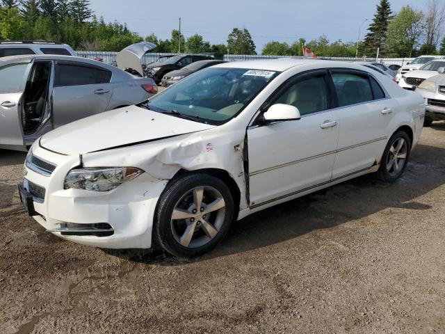 2008 CHEVROLET MALIBU 2LT   à vendre chez Copart ON - TORONTO