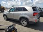 2014 Kia Sorento Ex for Sale in Miami, FL - Front End