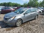 2013 Hyundai Sonata Gls   იყიდება Chalfont-ში, PA - Front End
