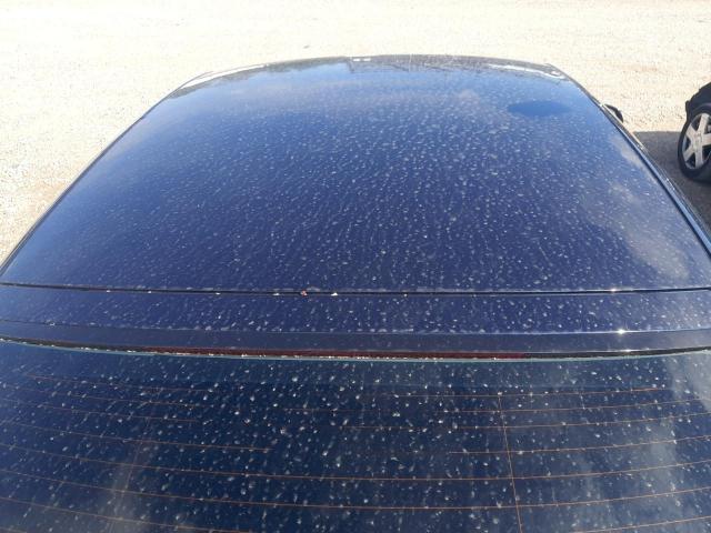 2009 AUDI A5 2.0T FSI SE 5DR