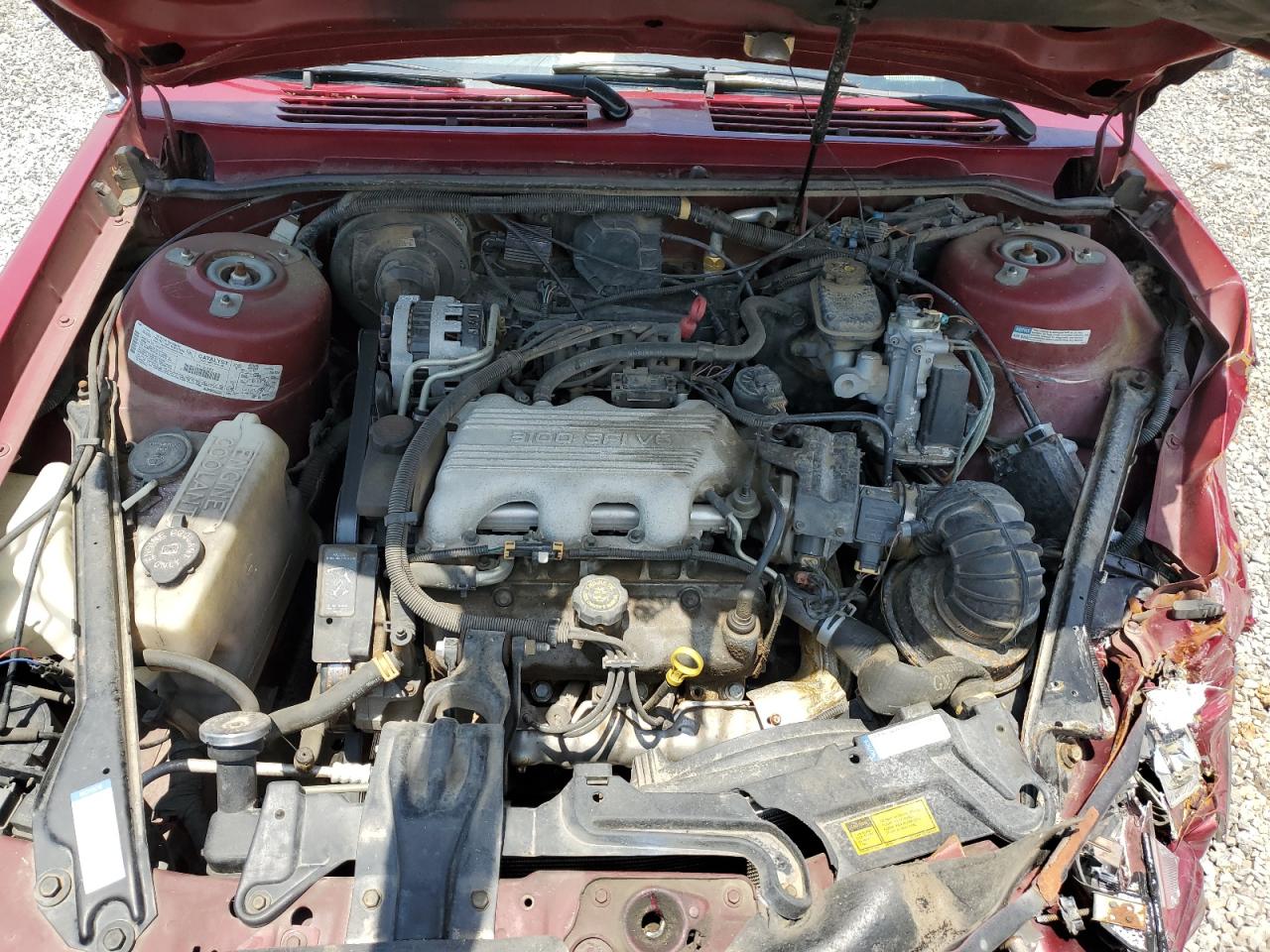1996 Buick Century Special VIN: 1G4AG55M9T6431961 Lot: 62583185