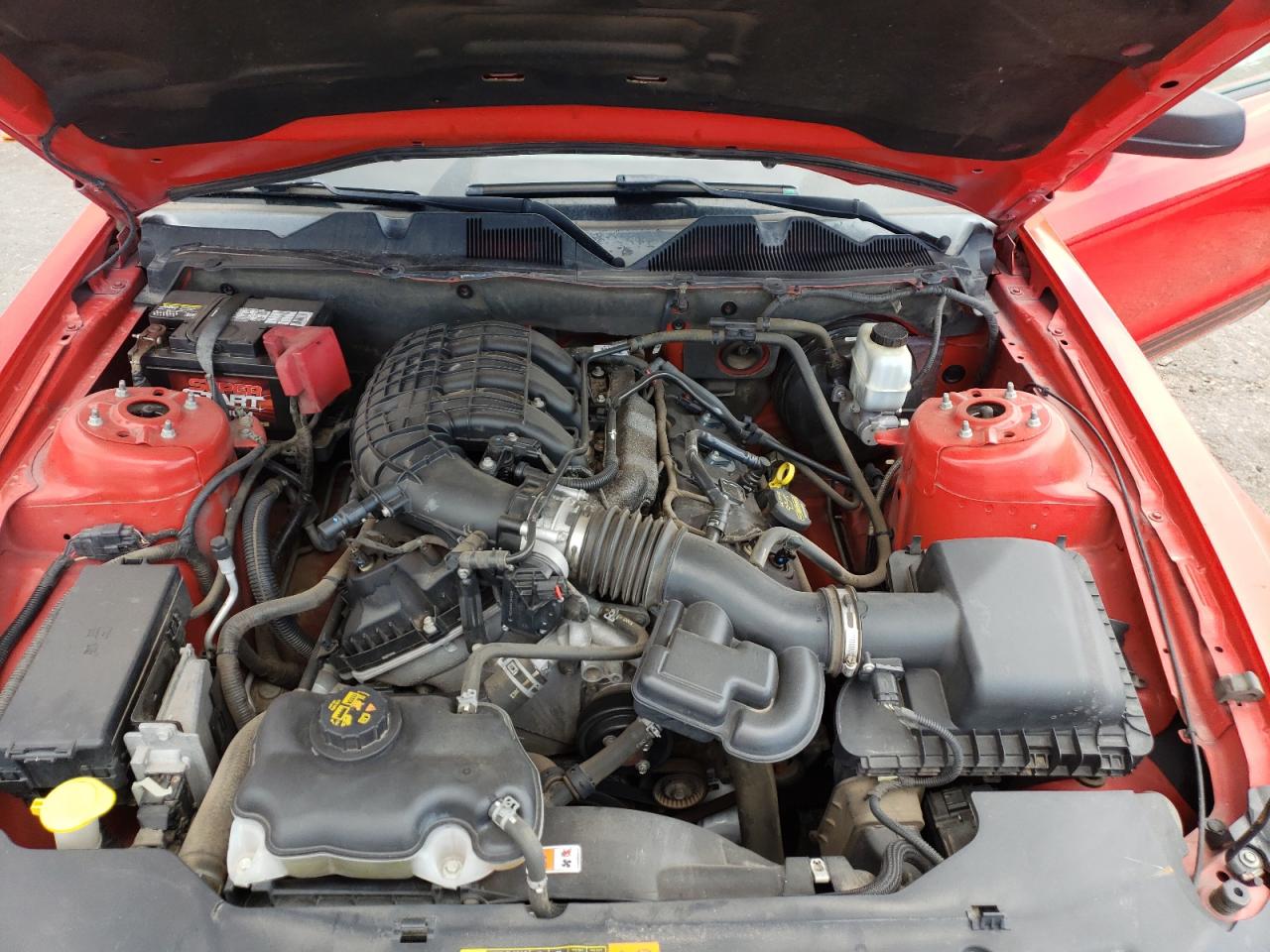 2012 Ford Mustang VIN: 1ZVBP8AM9C5222867 Lot: 62659515
