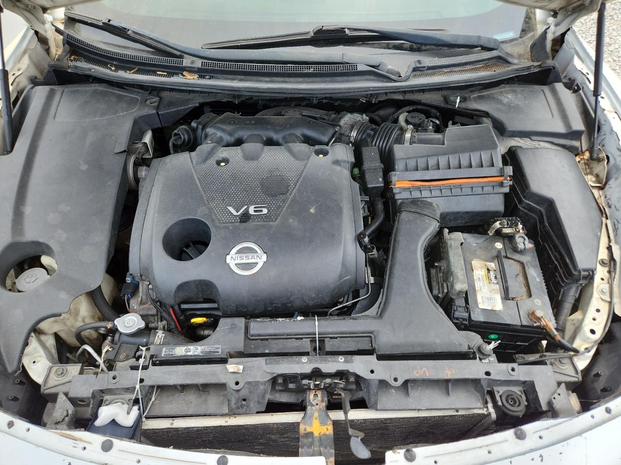 2010 Nissan Maxima S VIN: 1N4AA5AP3AC845313 Lot: 69650045