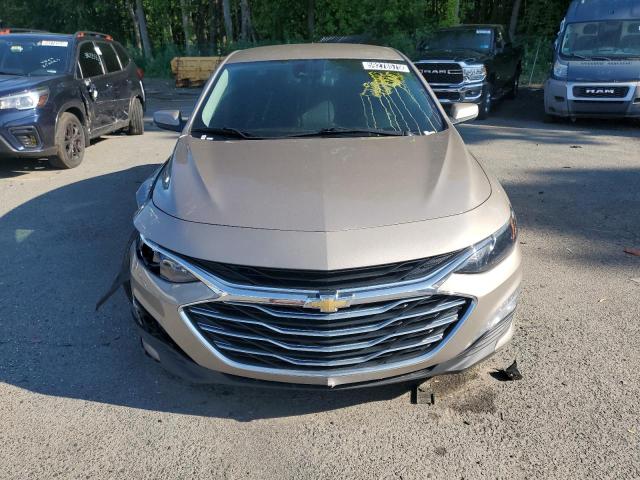  CHEVROLET MALIBU 2023 tan