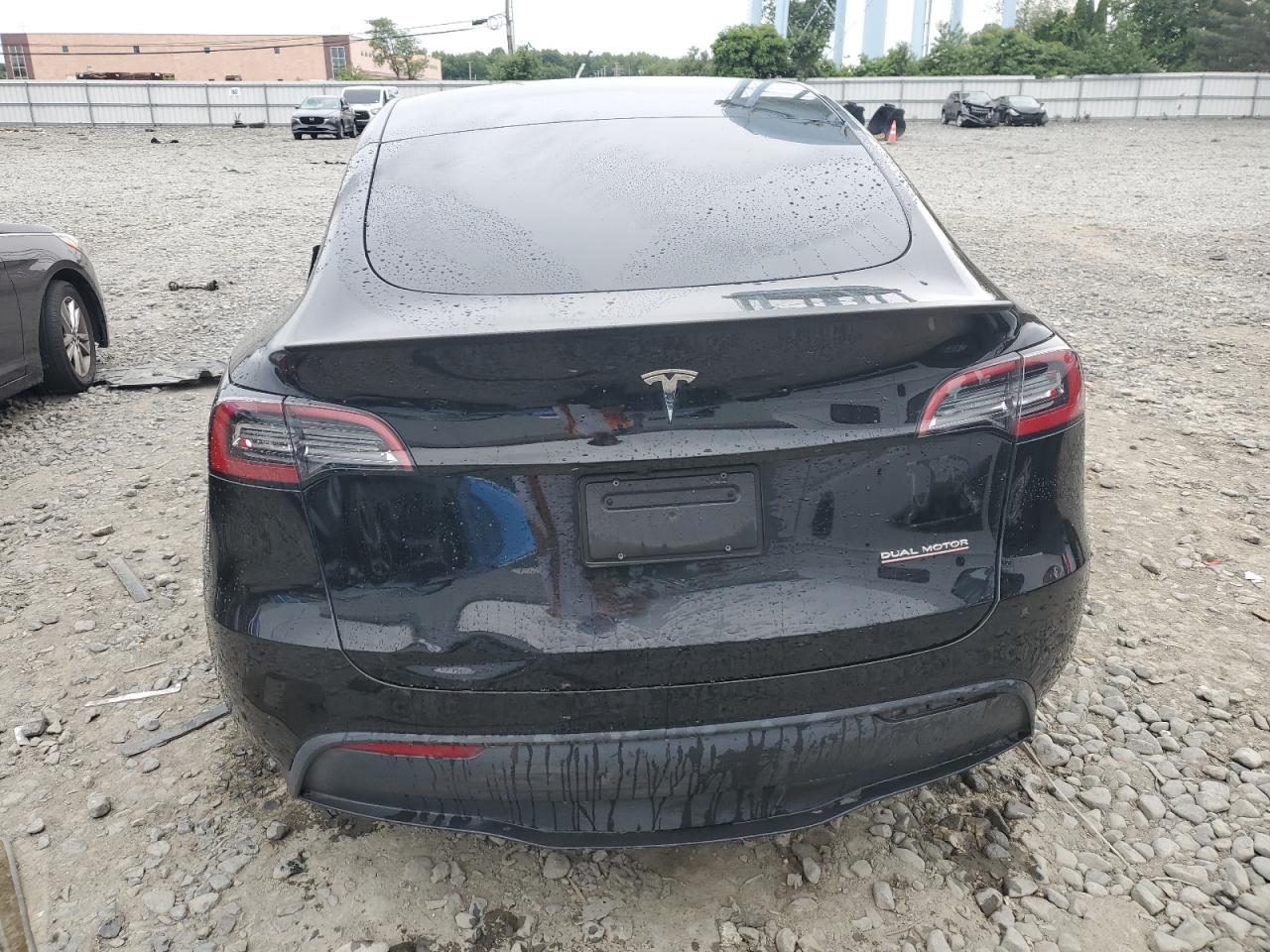 2023 Tesla Model Y VIN: 7SAYGDEF8PF891544 Lot: 62489405