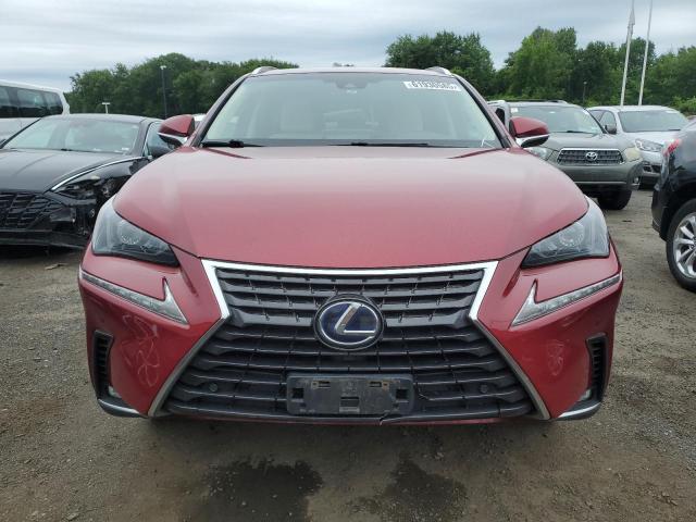  LEXUS NX 2018 Czerwony