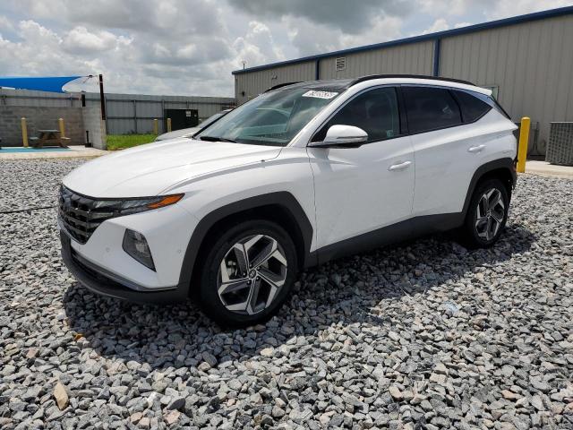  HYUNDAI TUCSON 2024 Biały