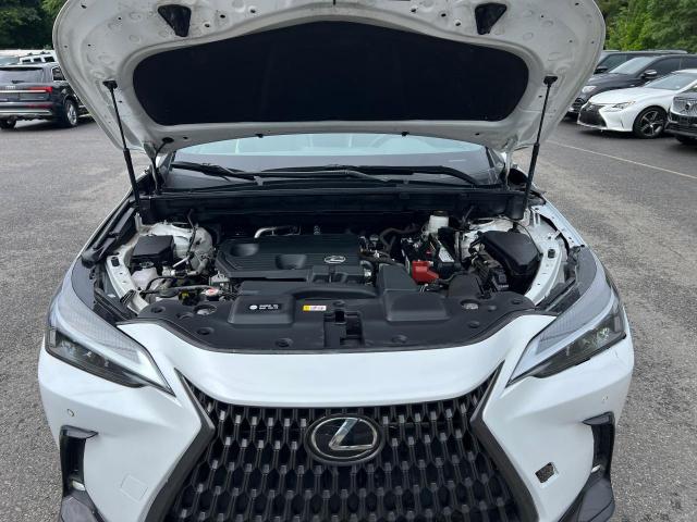  LEXUS NX 250 2022 Biały