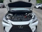 North Billerica, MA에서 판매 중인 2022 Lexus Nx 250   - Minor Dent/Scratches