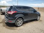 Albuquerque, NM에서 판매 중인 2013 Ford Escape Sel   - Rear End