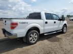 2013 Ford F150 Supercrew for Sale in Rocky View County, AB - Hail