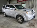 2009 Honda Pilot Exl   zu verkaufen in Waldorf, MD - Minor Dent/Scratches