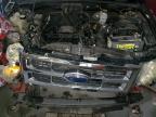2008 Ford Escape Xlt for Sale in Lawrenceburg, KY - Front End
