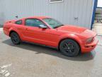 2005 Ford Mustang    продається в Mercedes, TX - Minor Dent/Scratches