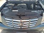 2009 Cadillac Escalade Hybrid de vânzare în Orlando, FL - Front End