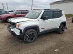 Portland, MI에서 판매 중인 2017 Jeep Renegade Trailhawk - Front End