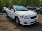 2009 TOYOTA COROLLA BASE à vendre chez Copart ON - COOKSTOWN
