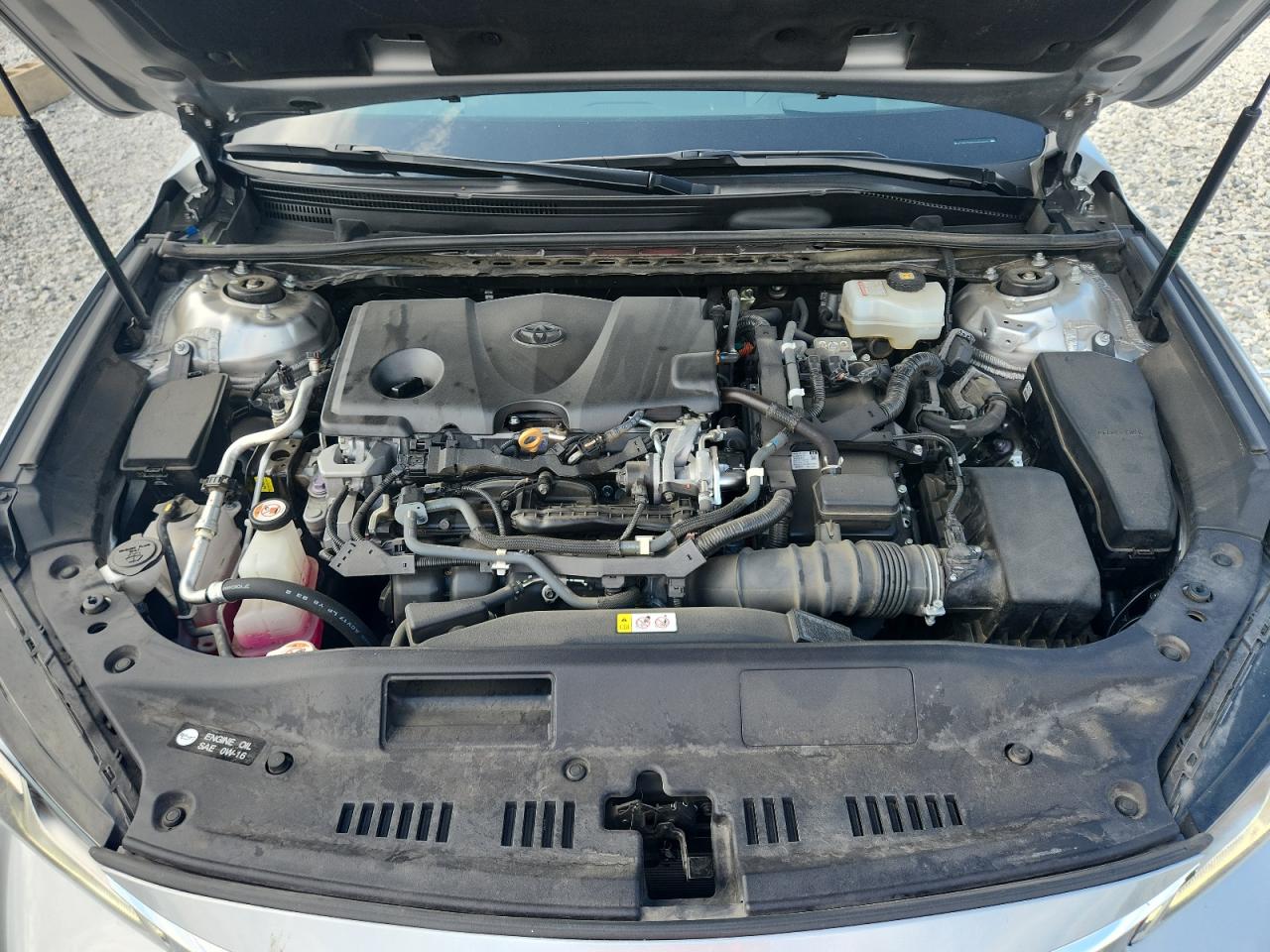 2019 Toyota Avalon Xle VIN: 4T1B21FB0KU008978 Lot: 63034005