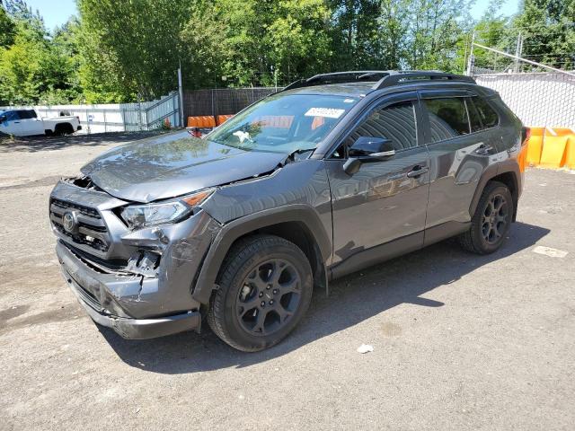  TOYOTA RAV4 2020 Серый