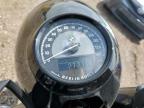 2024 BMW R18 ROCTANE   for sale at Copart CO - DENVER