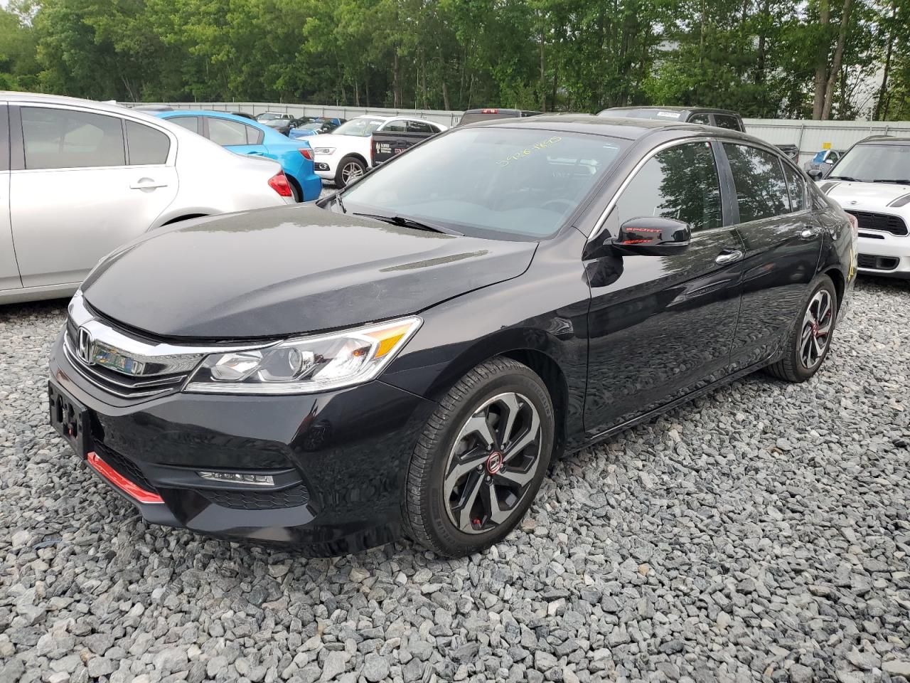 2016 Honda Accord Exl للبيع في North Billerica، MA - Rear End
