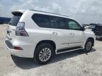 2016 Lexus Gx 460 for Sale in Homestead, FL - Rear End