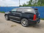 Moncton, NB에서 판매 중인 2010 Cadillac Escalade Luxury - All Over