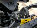 2024 Ducati Desert X  للبيع في Colorado Springs، CO - Side