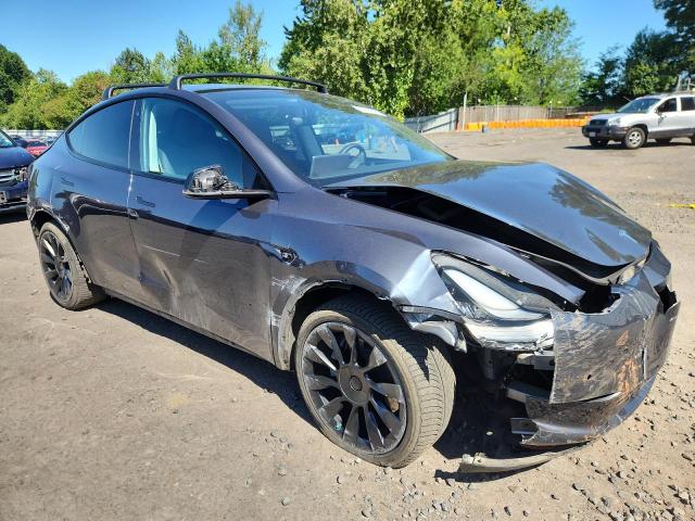  TESLA MODEL Y 2020 Синий
