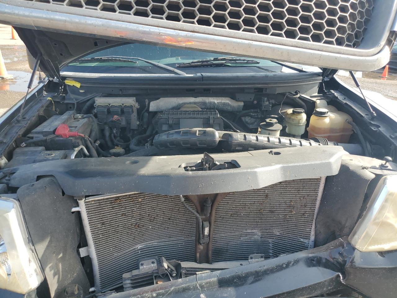 2006 Ford F150 VIN: 1FTPX12V56NB04486 Lot: 62703795