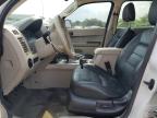 2011 Ford Escape Hybrid   for Sale in Chicago Heights, IL - Front End