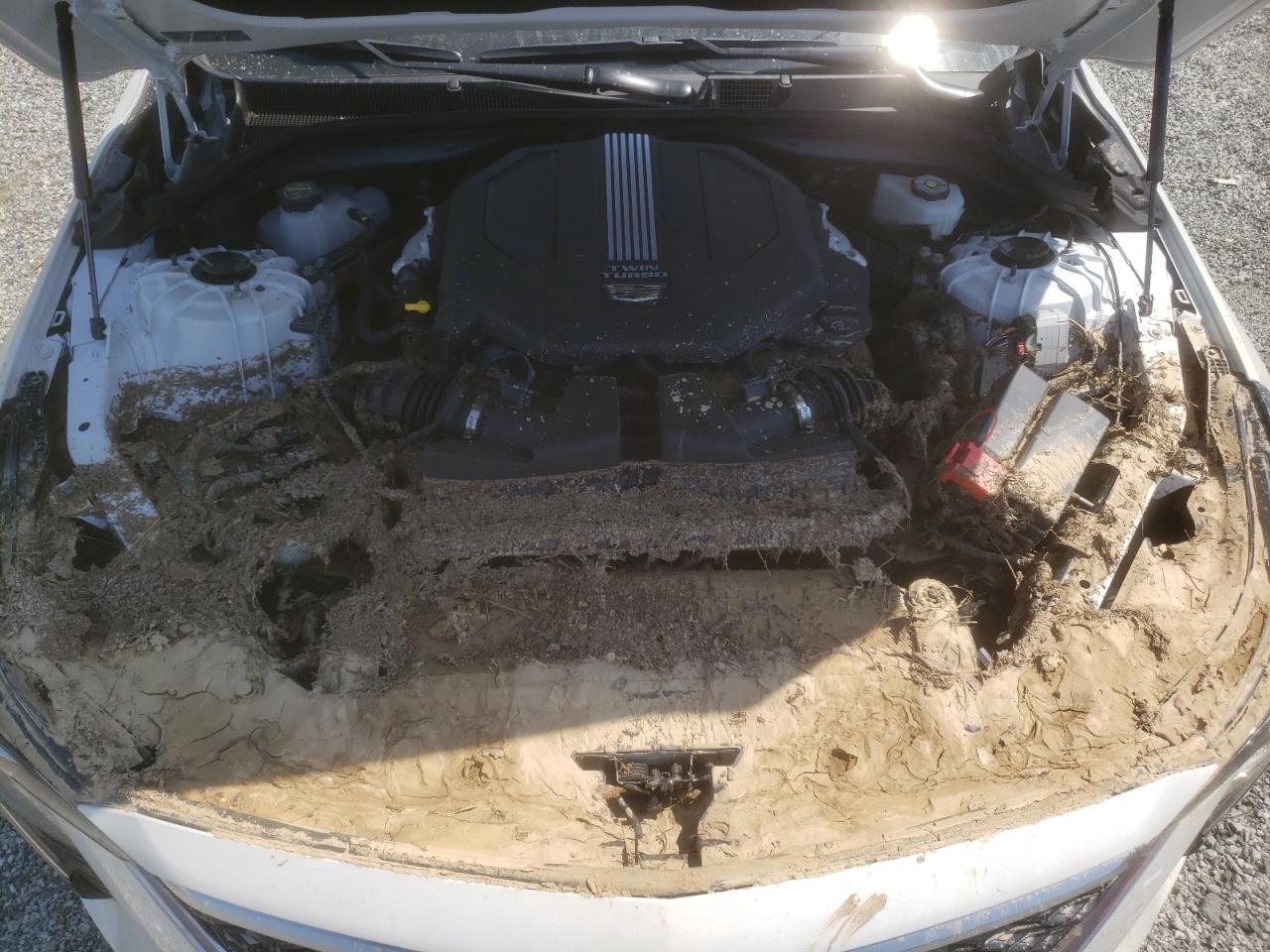 2025 Cadillac Ct5 Premium Luxury VIN: 1G6DS5RW9S0117887 Lot: 62061105