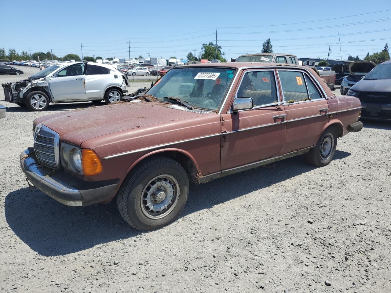 1982 Mercedes-Benz 300 Dt na sprzedaż w Eugene, OR - Side